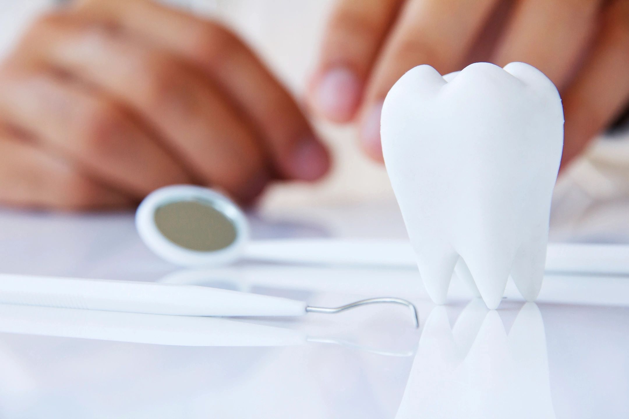 White tooth model with dental instruments in a dental clinic